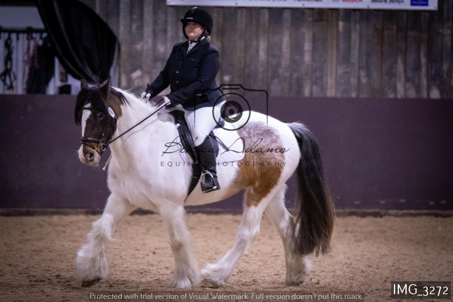 Home Farm Dressage 12th February - Seniors