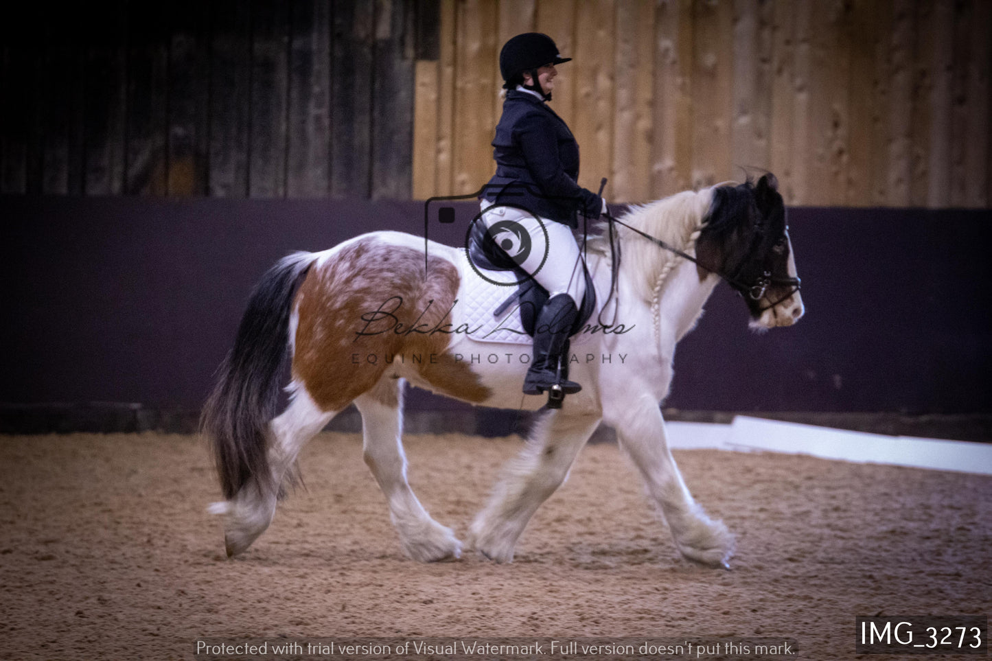 Home Farm Dressage 12th February - Seniors