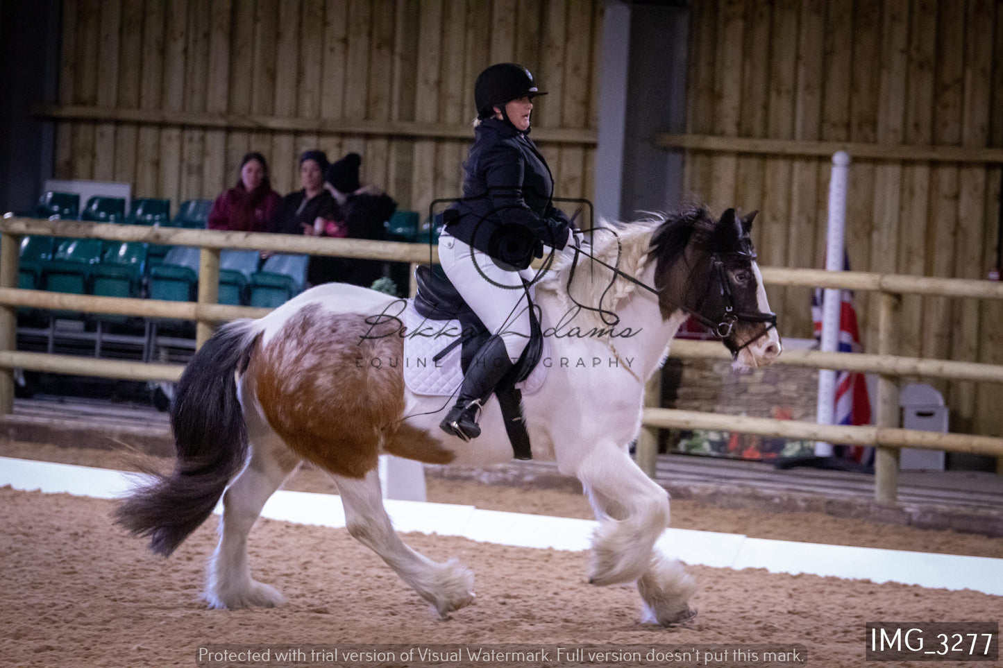 Home Farm Dressage 12th February - Seniors