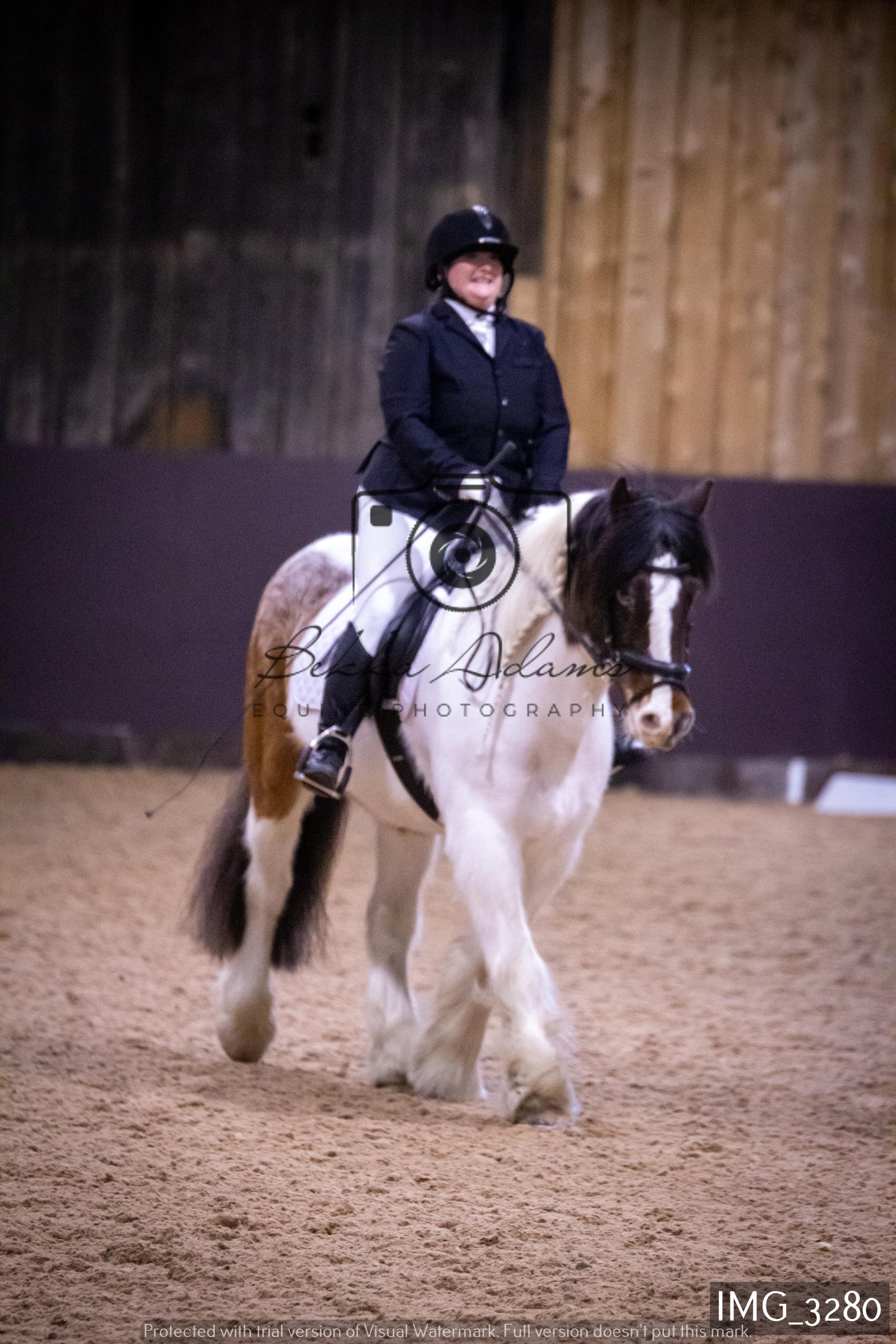 Home Farm Dressage 12th February - Seniors