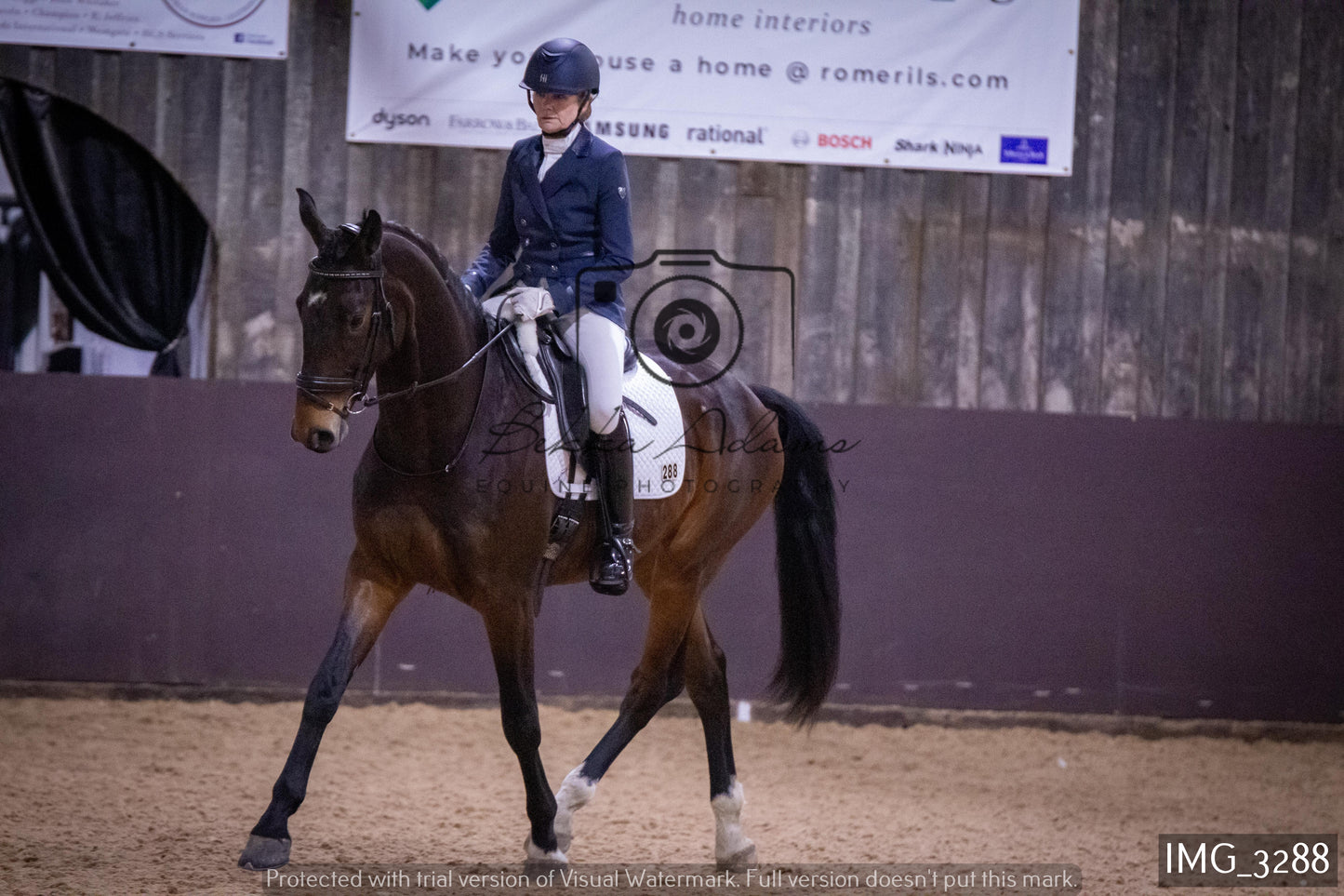 Home Farm Dressage 12th February - Seniors