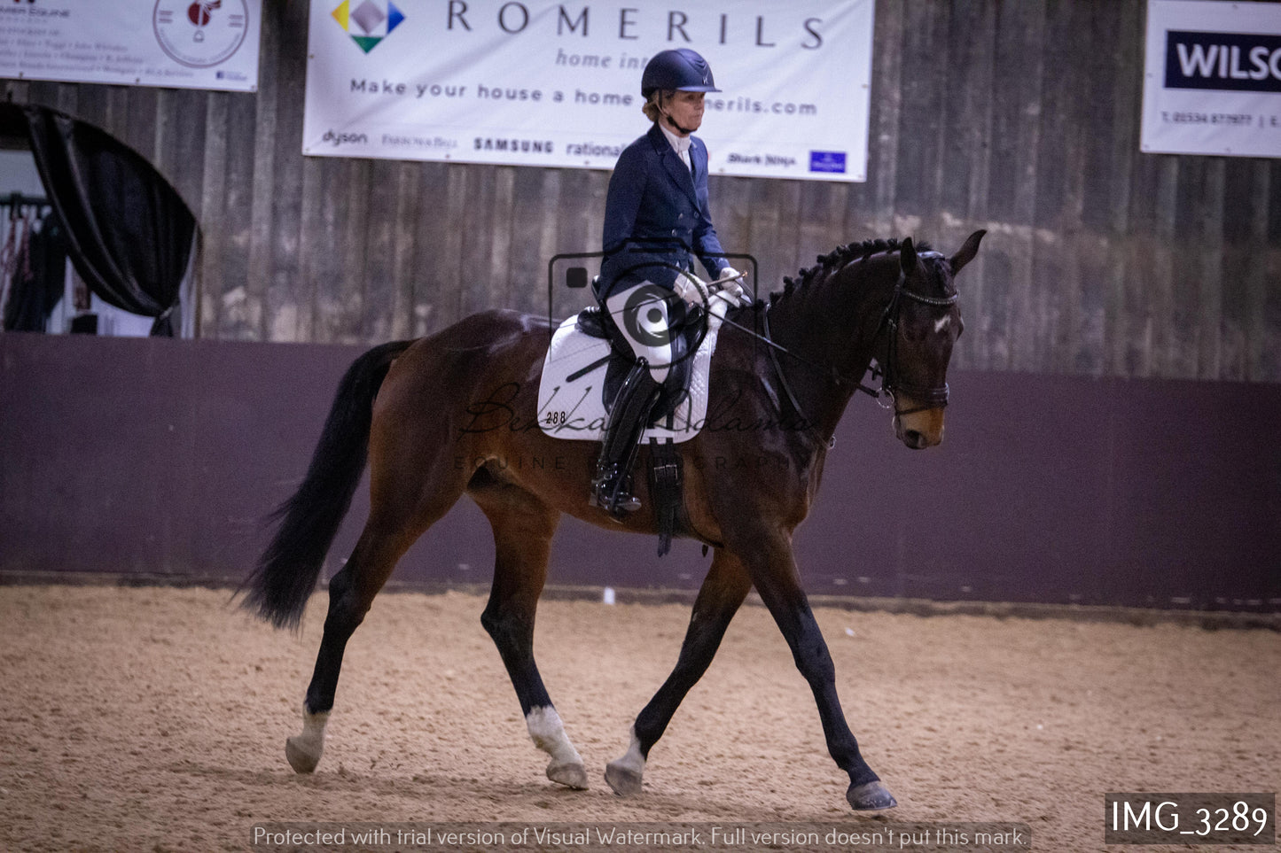 Home Farm Dressage 12th February - Seniors