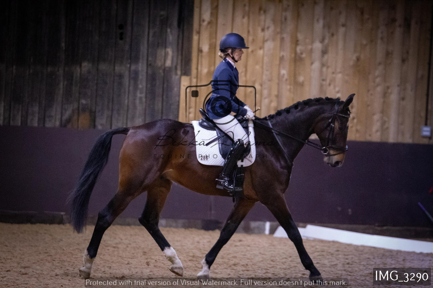 Home Farm Dressage 12th February - Seniors