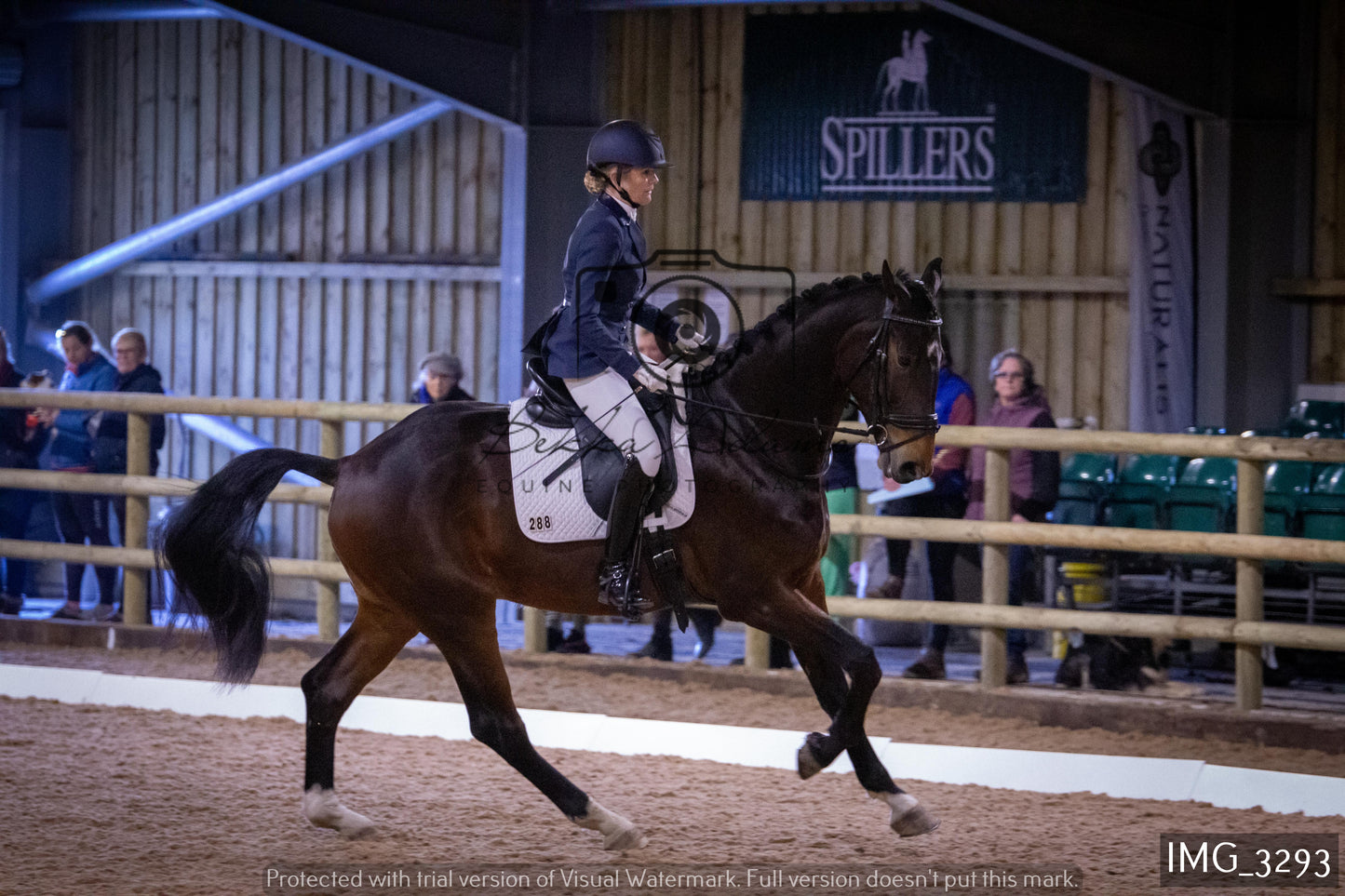 Home Farm Dressage 12th February - Seniors