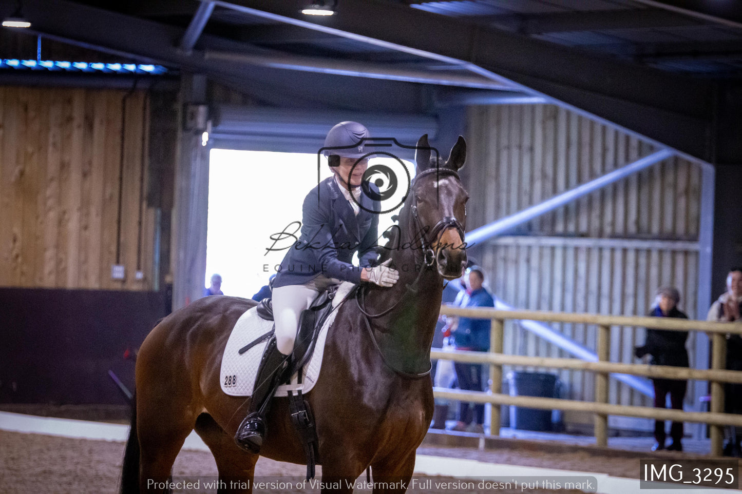 Home Farm Dressage 12th February - Seniors