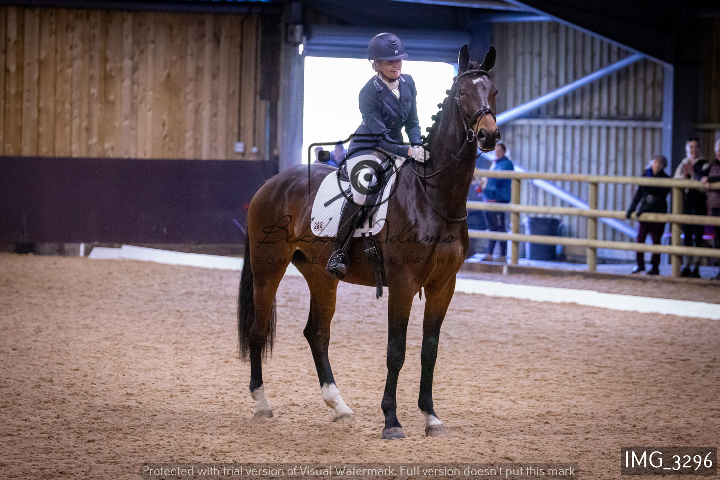 Home Farm Dressage 12th February - Seniors