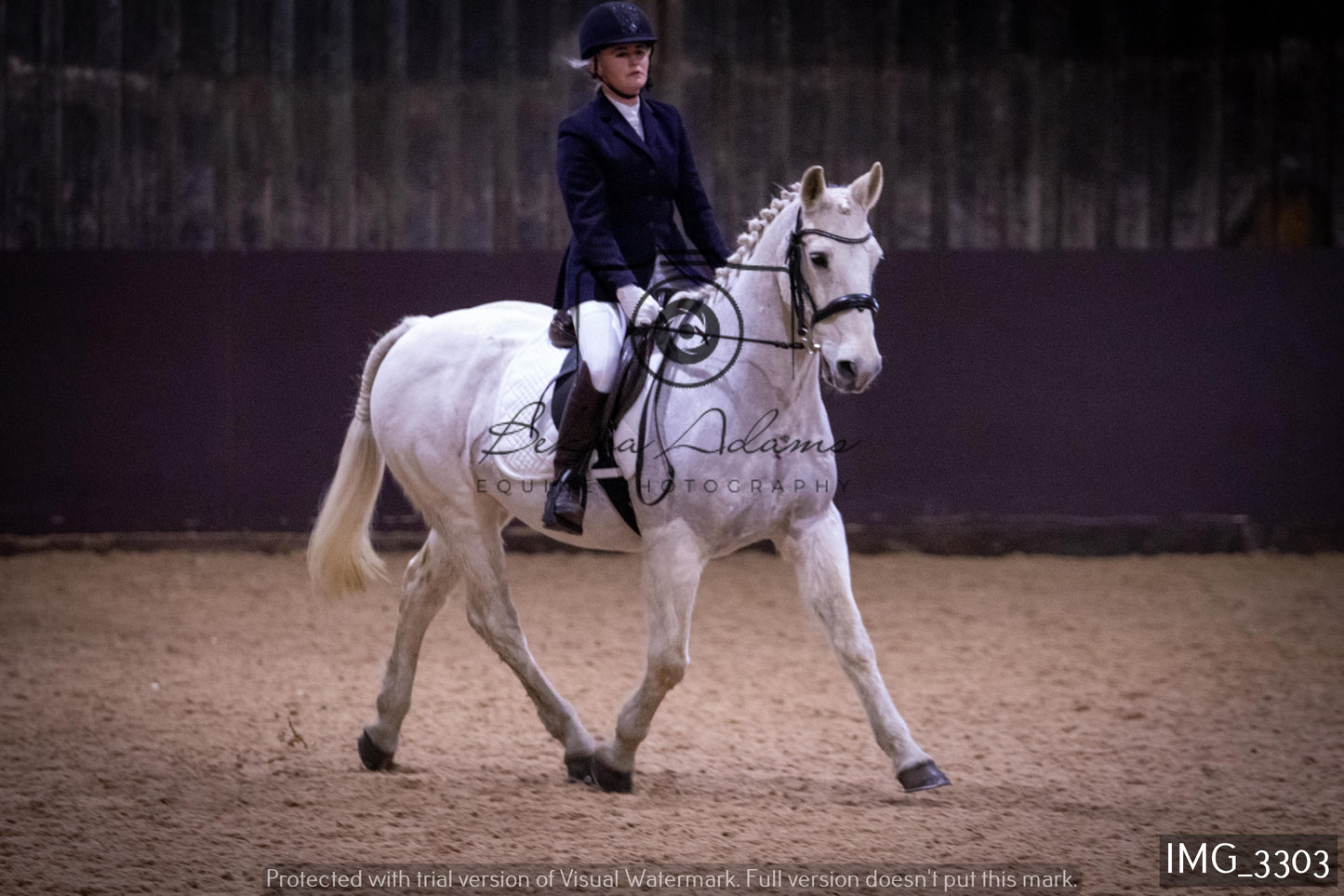 Home Farm Dressage 12th February - Seniors