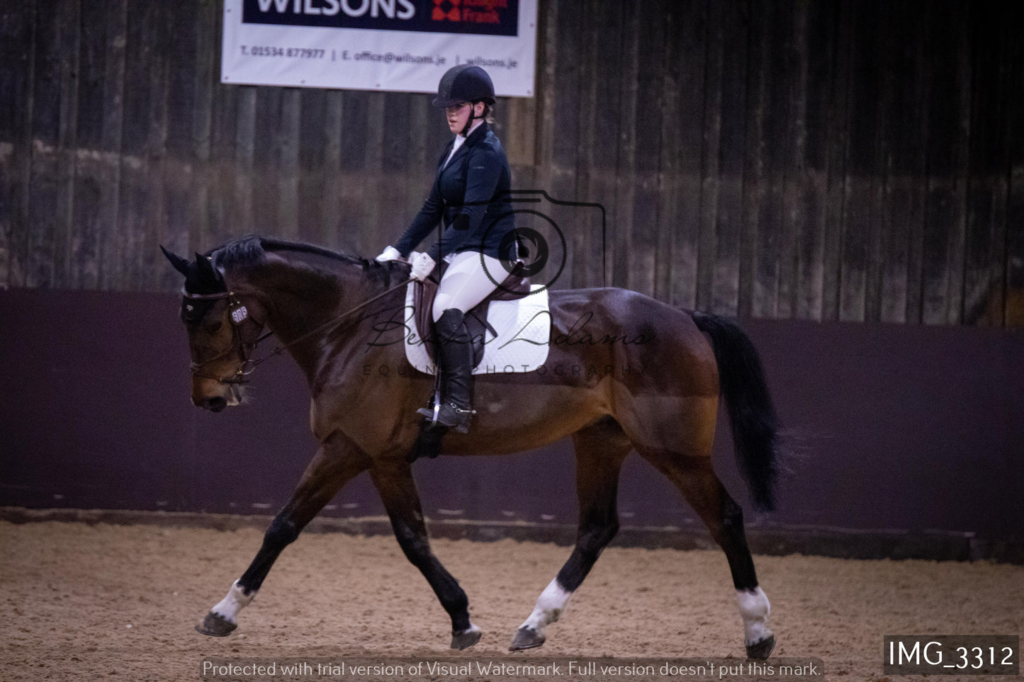 Home Farm Dressage 12th February - Seniors