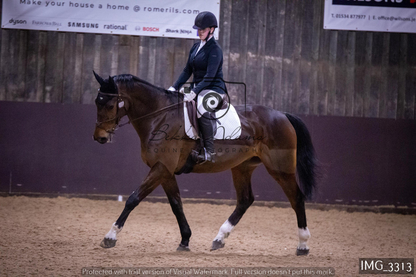 Home Farm Dressage 12th February - Seniors