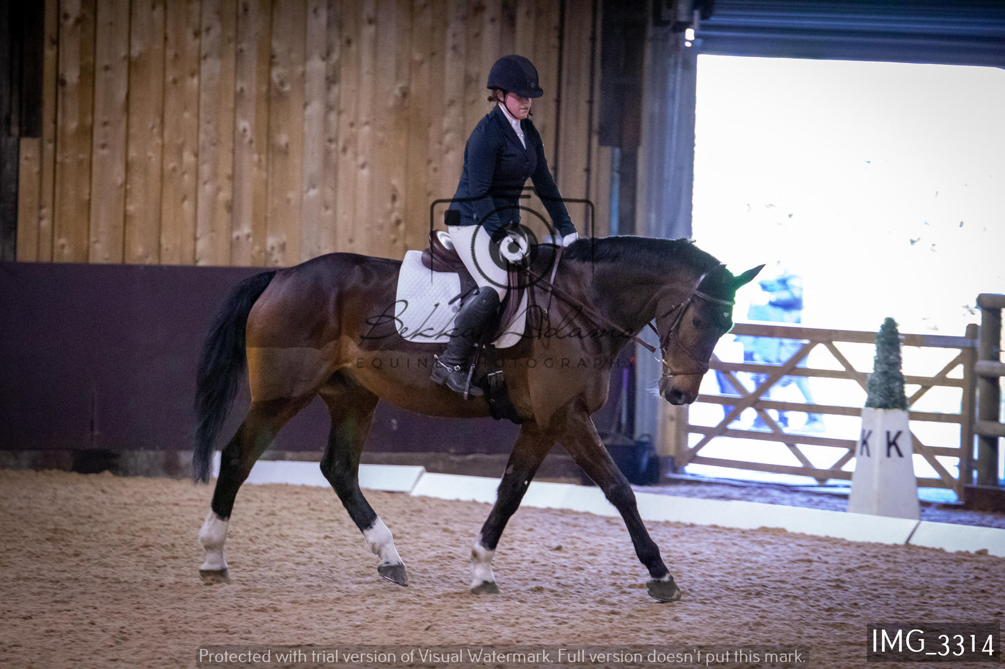 Home Farm Dressage 12th February - Seniors