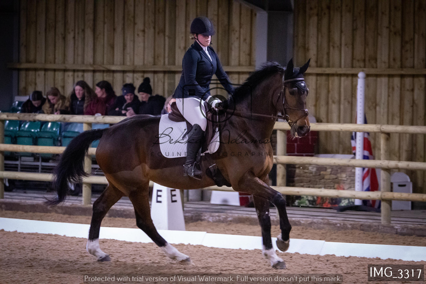 Home Farm Dressage 12th February - Seniors