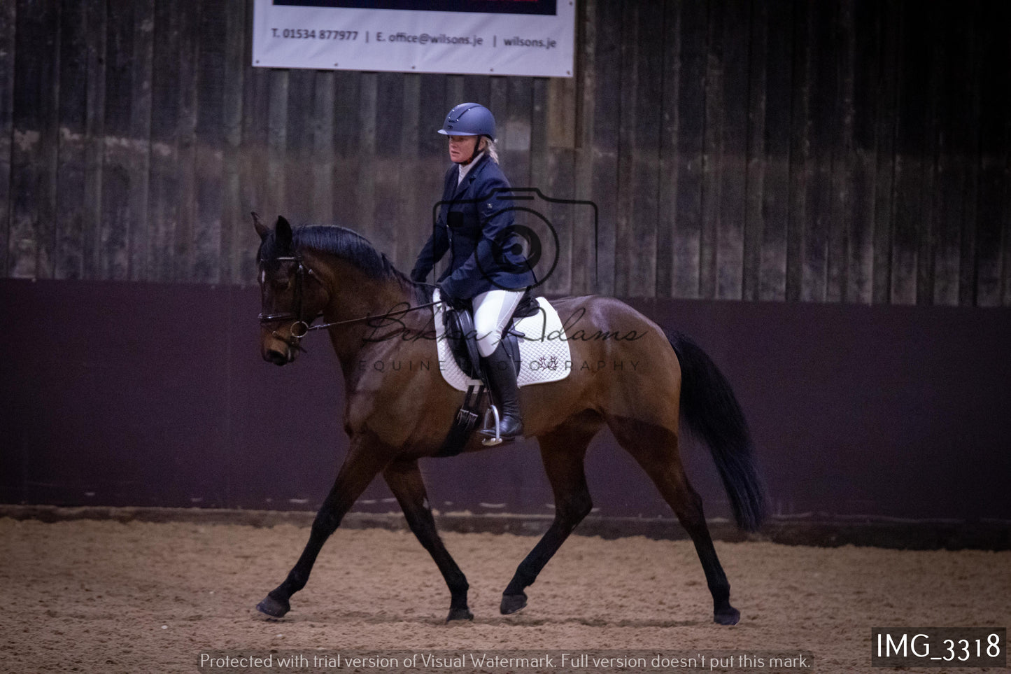 Home Farm Dressage 12th February - Seniors