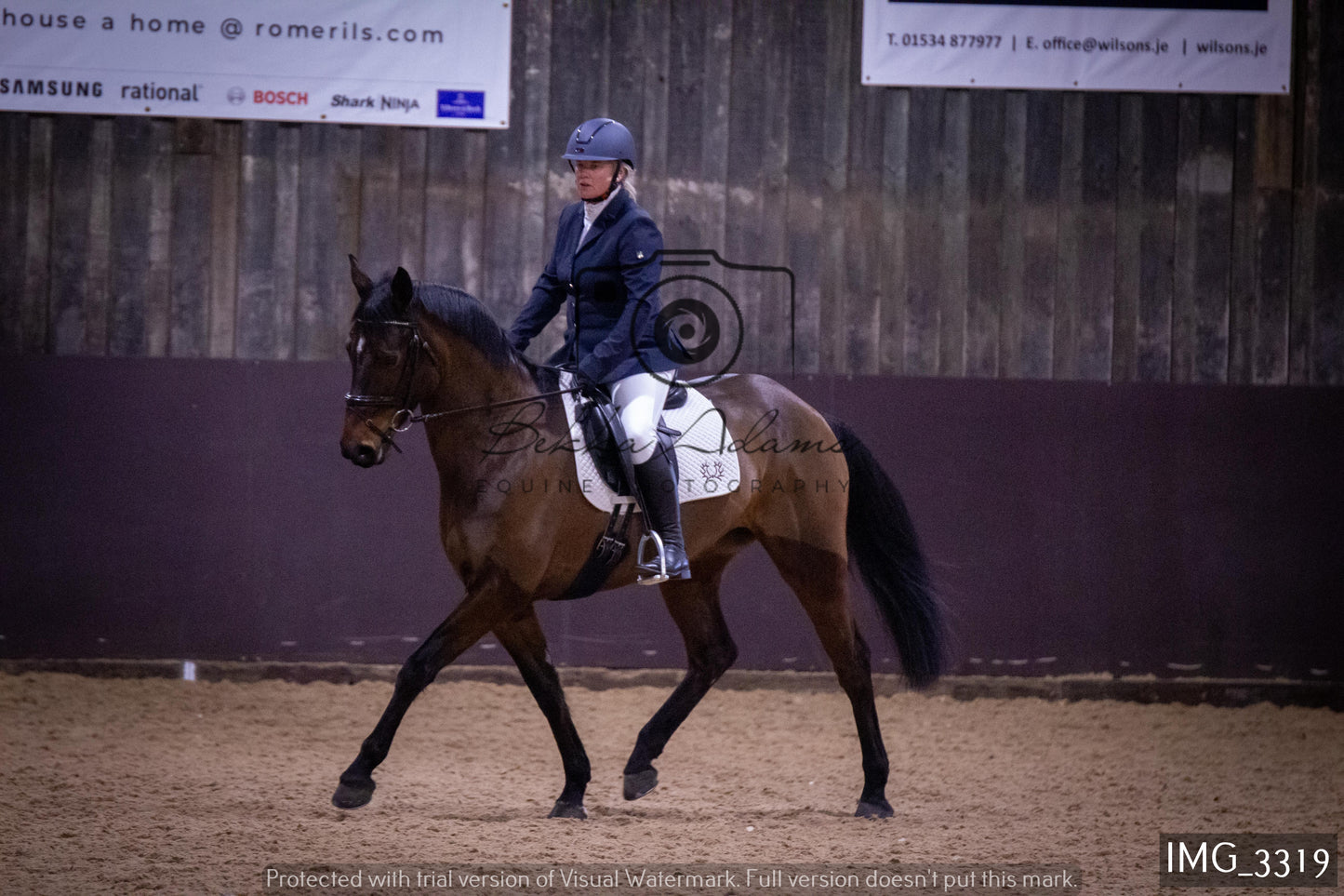 Home Farm Dressage 12th February - Seniors