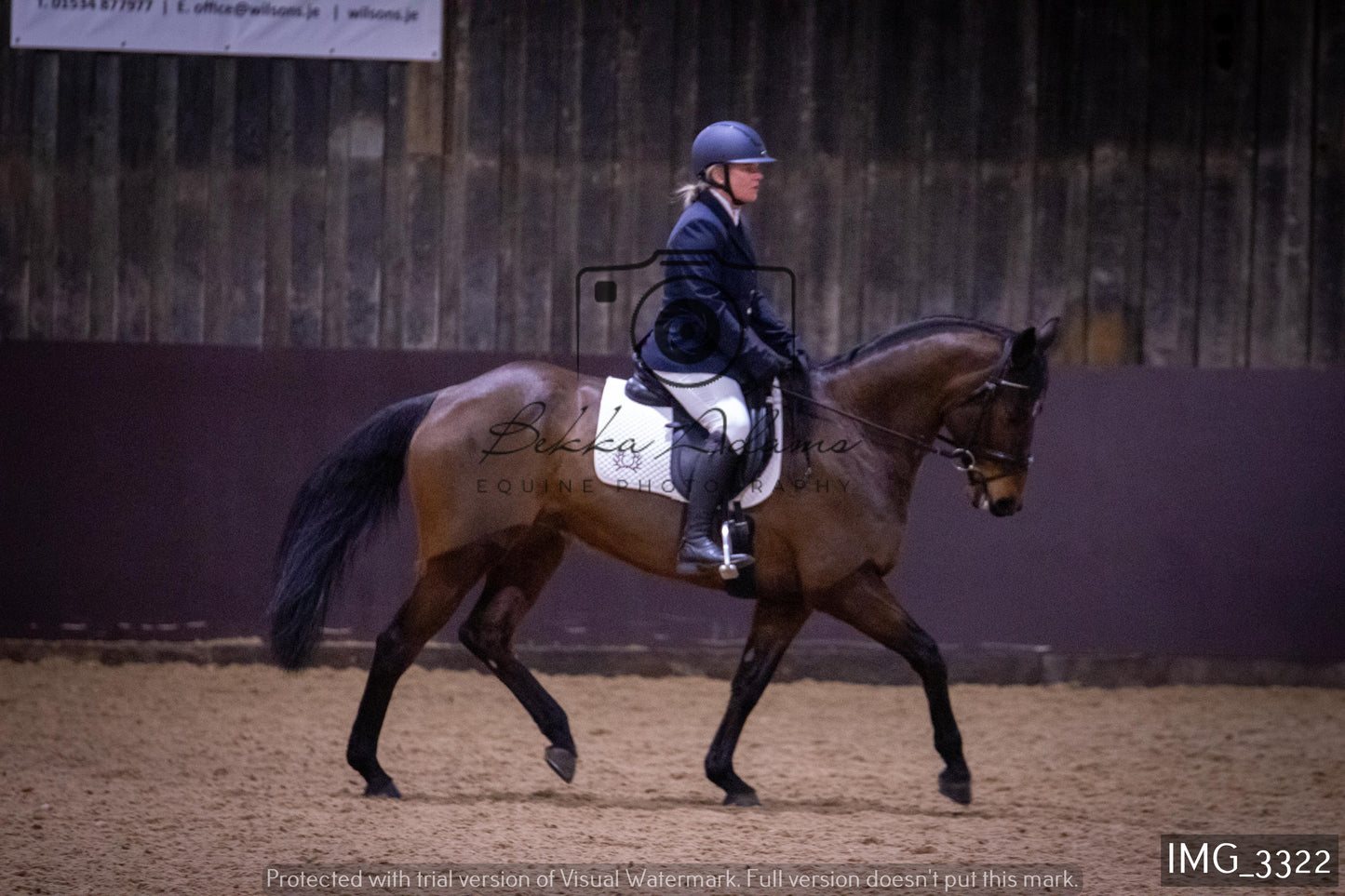 Home Farm Dressage 12th February - Seniors