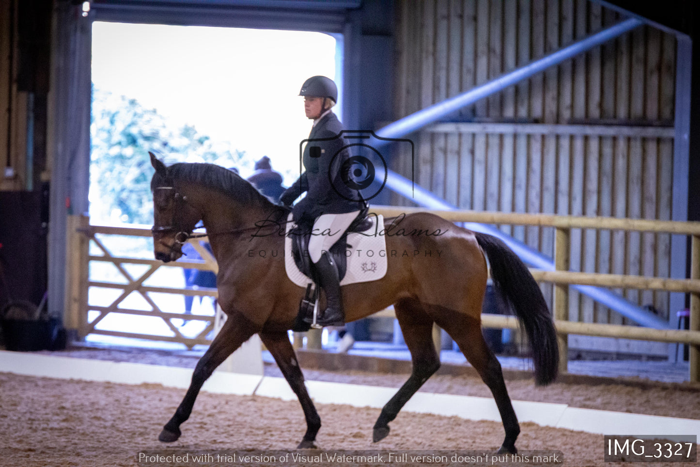 Home Farm Dressage 12th February - Seniors