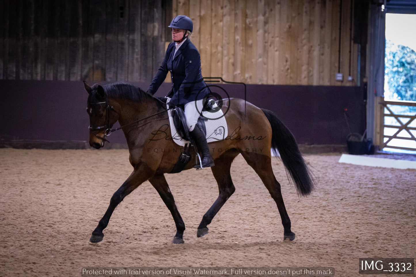 Home Farm Dressage 12th February - Seniors