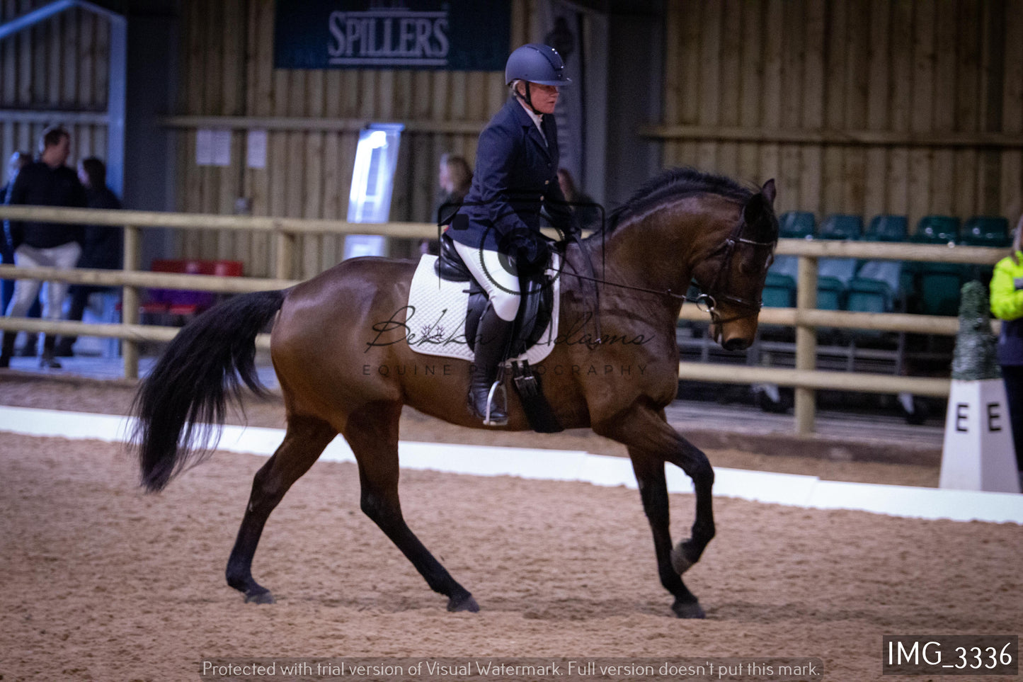 Home Farm Dressage 12th February - Seniors