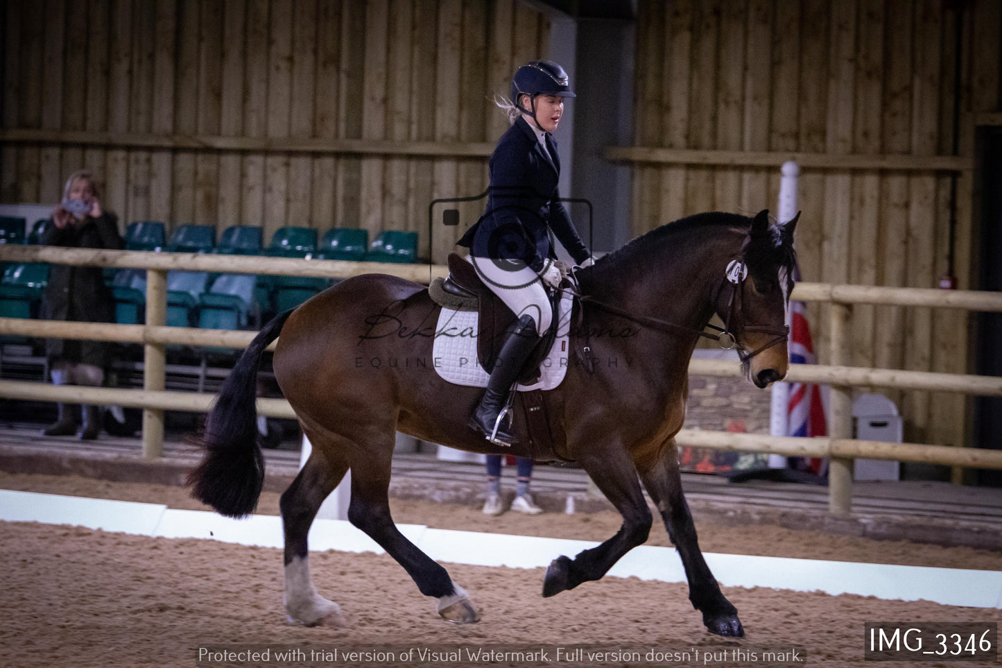 Home Farm Dressage 12th February - Seniors