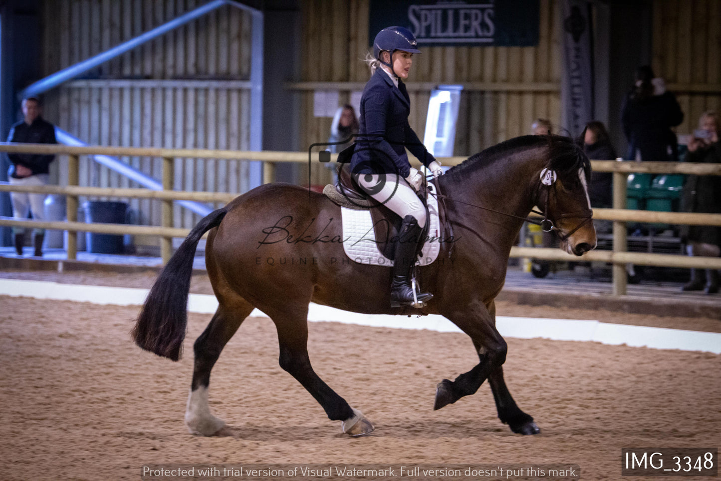 Home Farm Dressage 12th February - Seniors