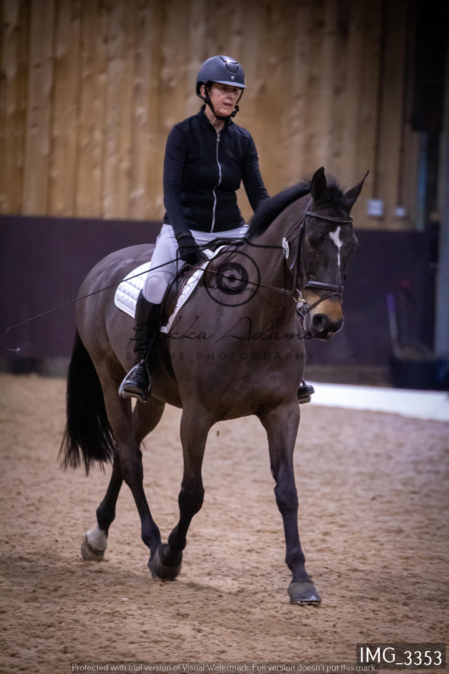 Home Farm Dressage 12th February - Seniors