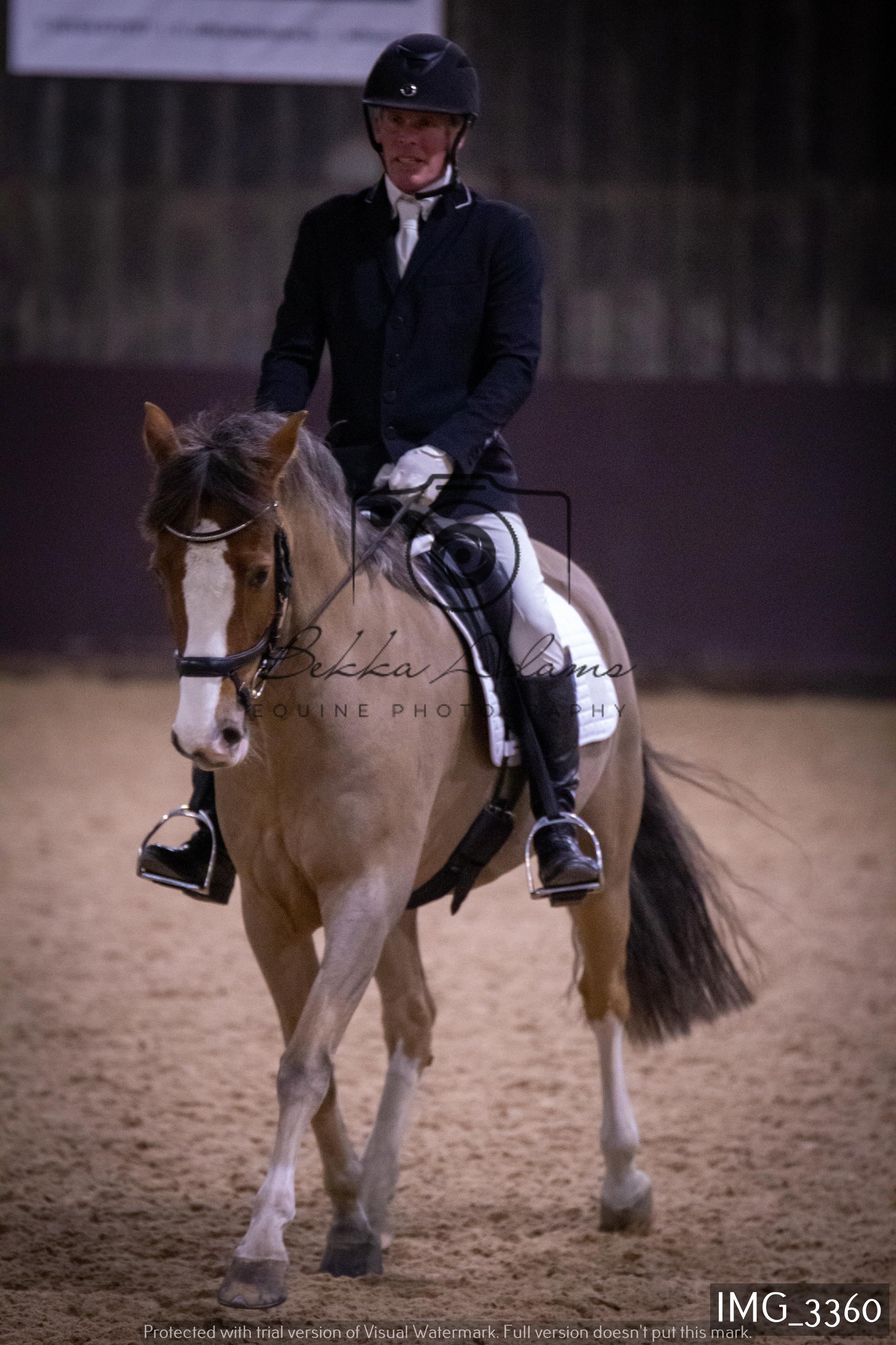 Home Farm Dressage 12th February - Seniors