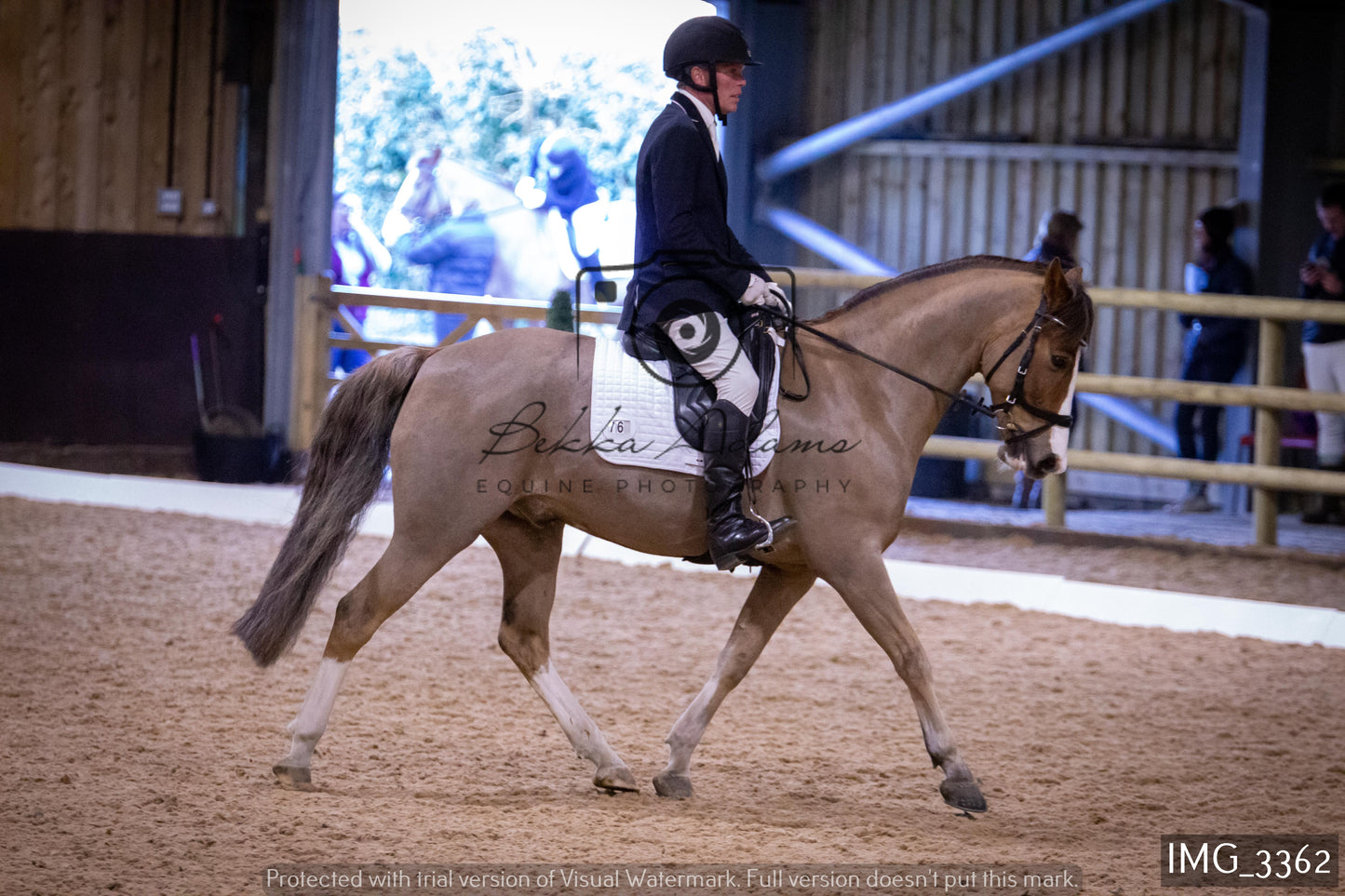 Home Farm Dressage 12th February - Seniors