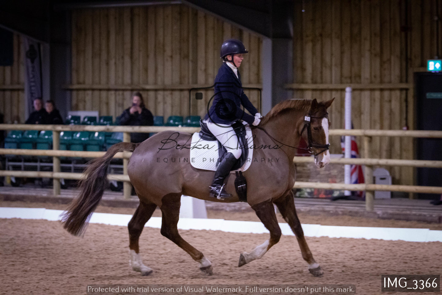 Home Farm Dressage 12th February - Seniors