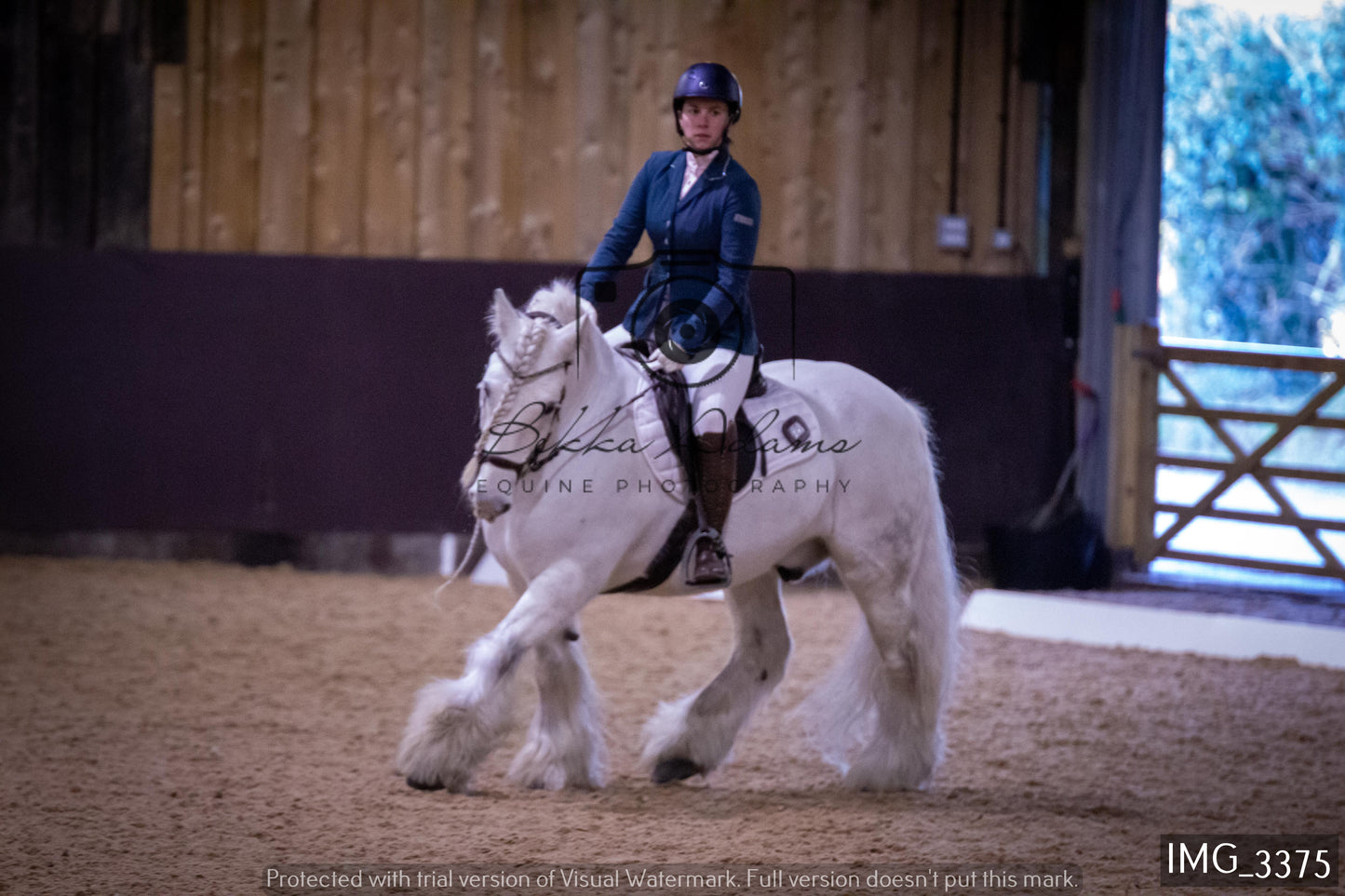 Home Farm Dressage 12th February - Seniors