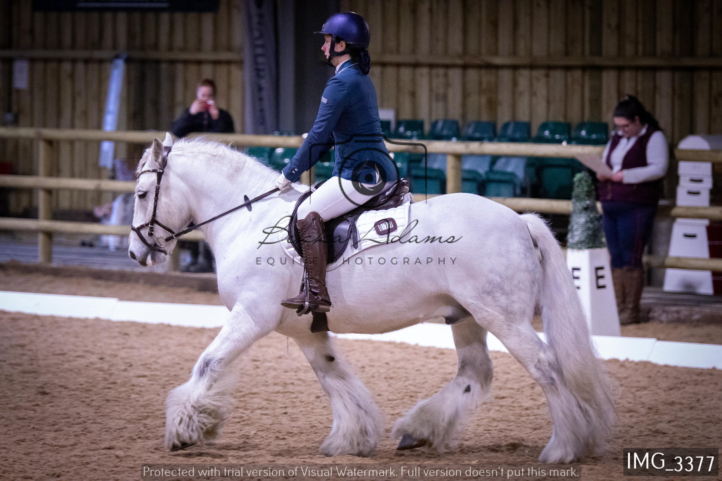 Home Farm Dressage 12th February - Seniors