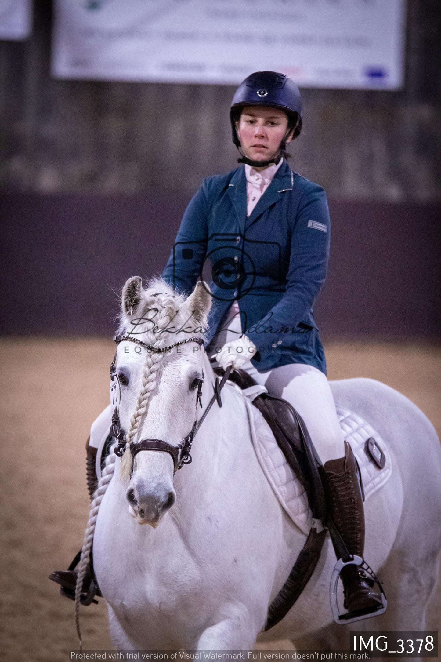 Home Farm Dressage 12th February - Seniors