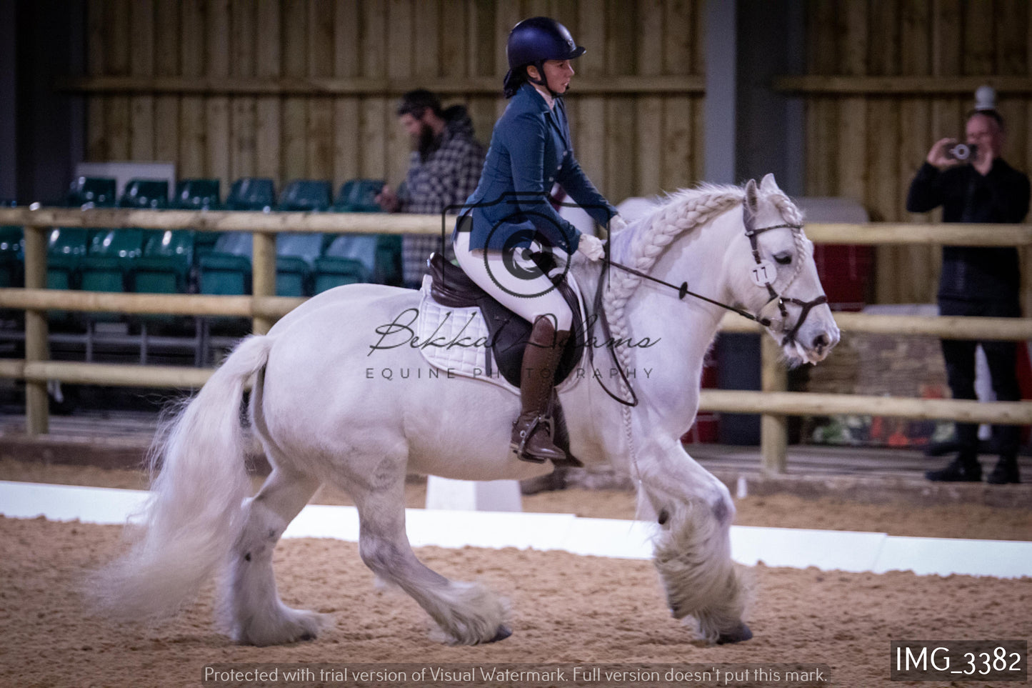 Home Farm Dressage 12th February - Seniors