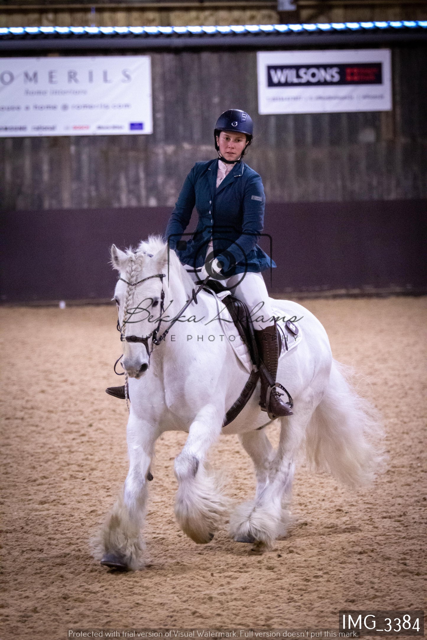 Home Farm Dressage 12th February - Seniors