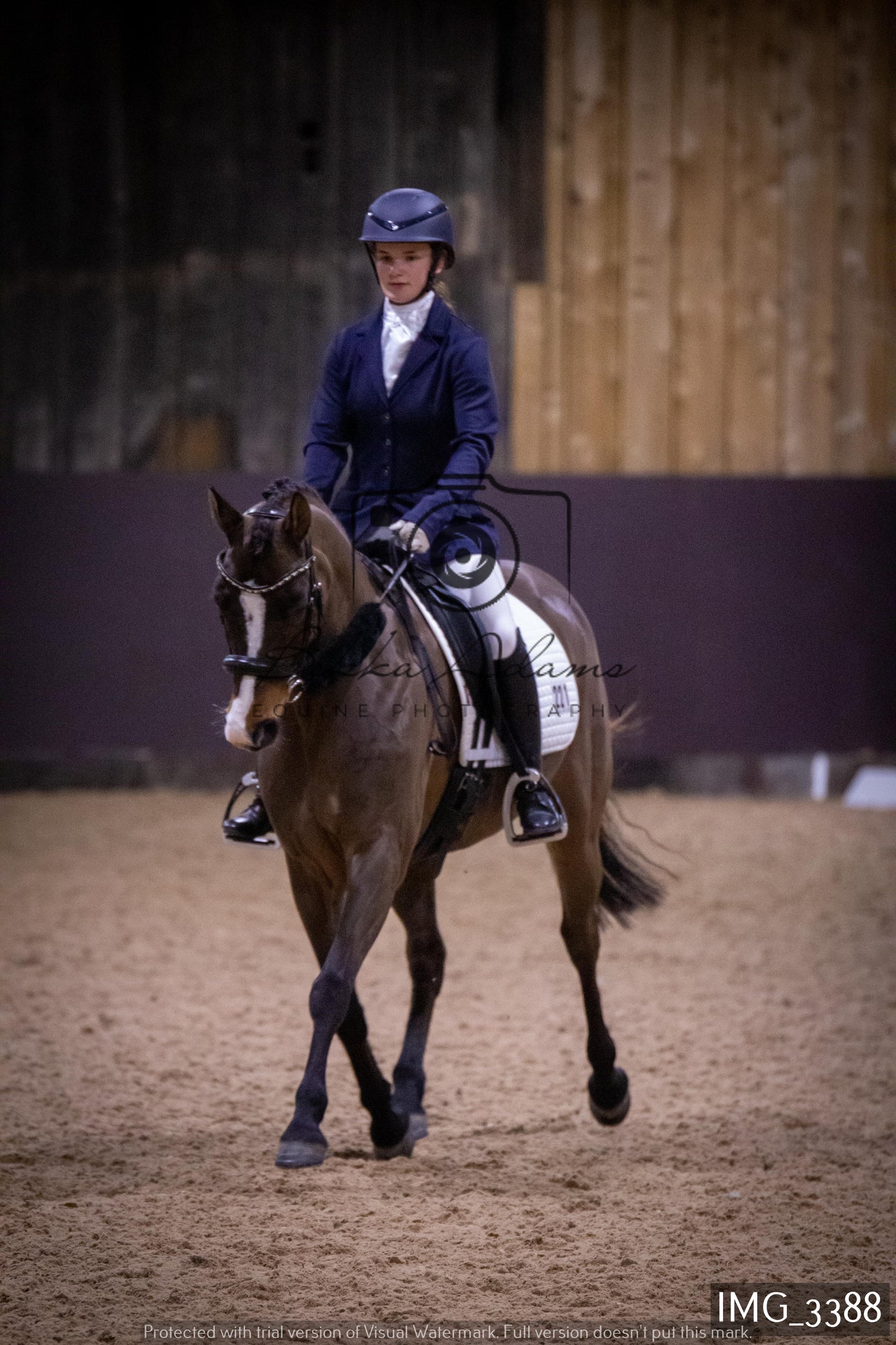 Home Farm Dressage 12th February - Seniors