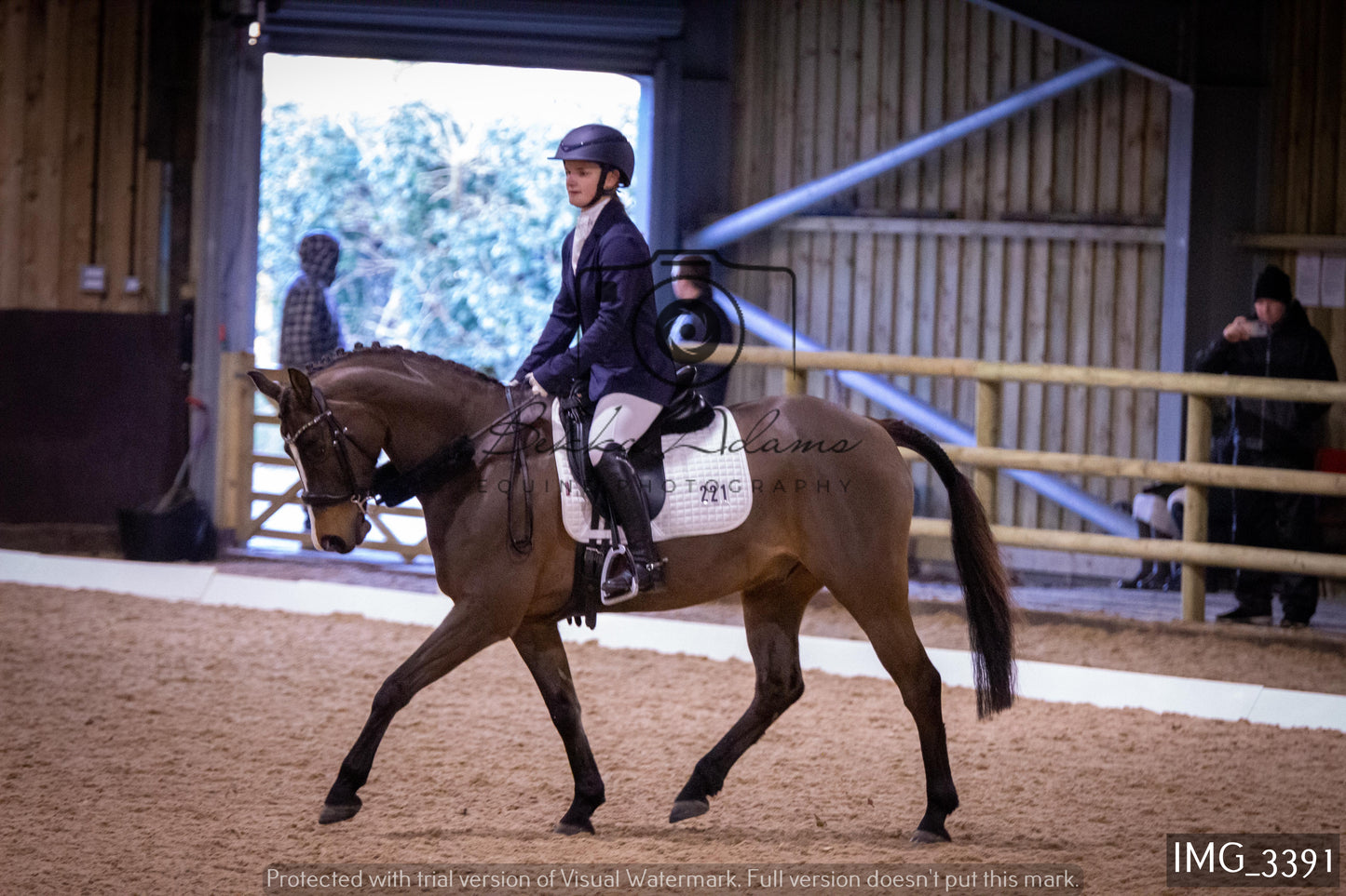 Home Farm Dressage 12th February - Seniors