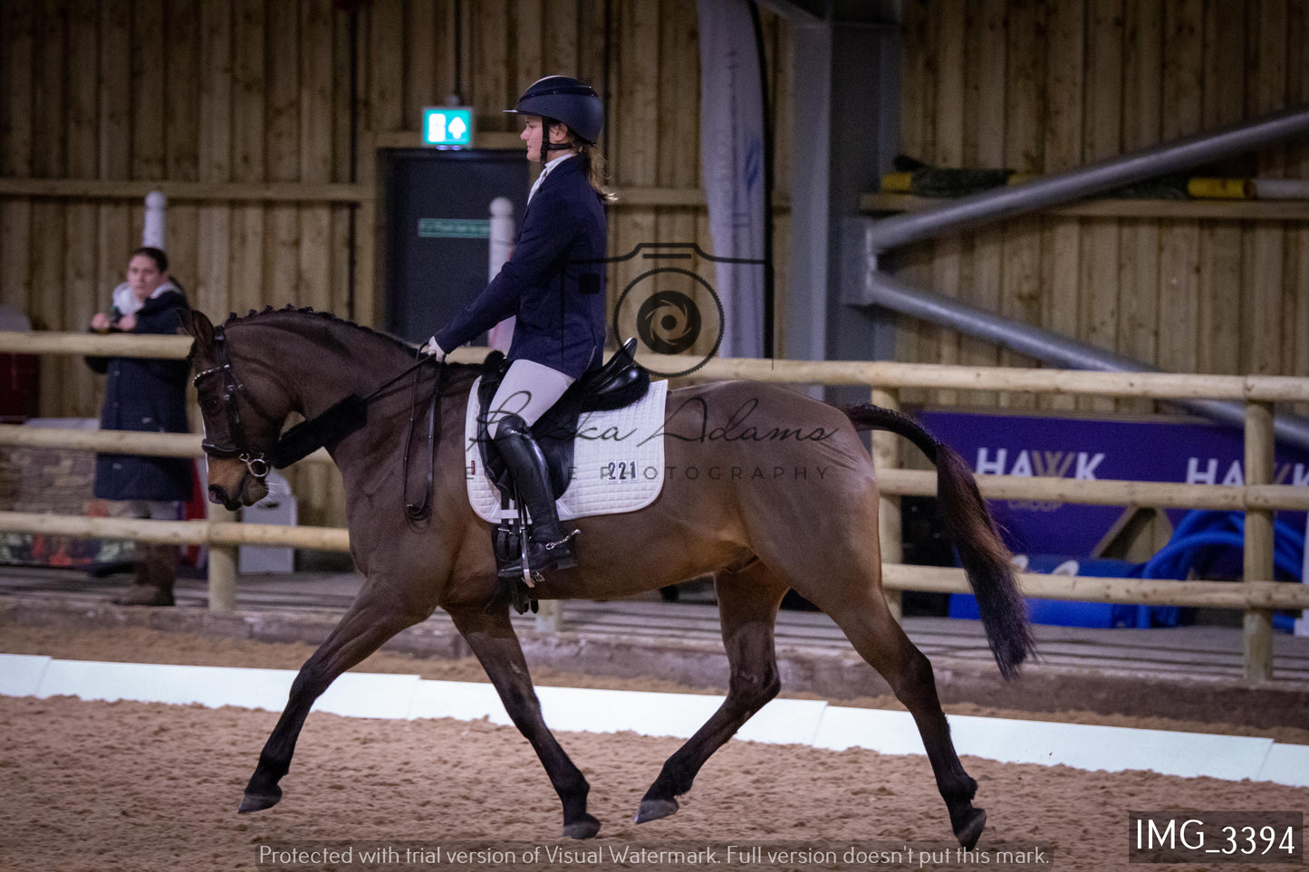 Home Farm Dressage 12th February - Seniors