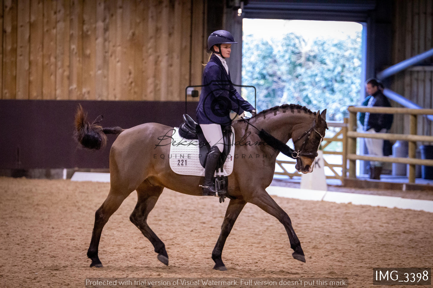 Home Farm Dressage 12th February - Seniors