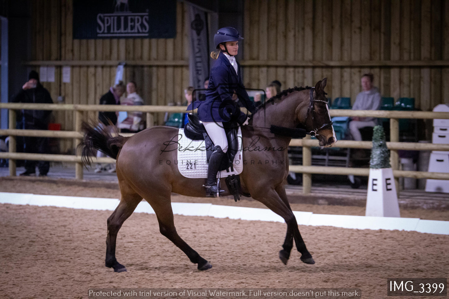 Home Farm Dressage 12th February - Seniors