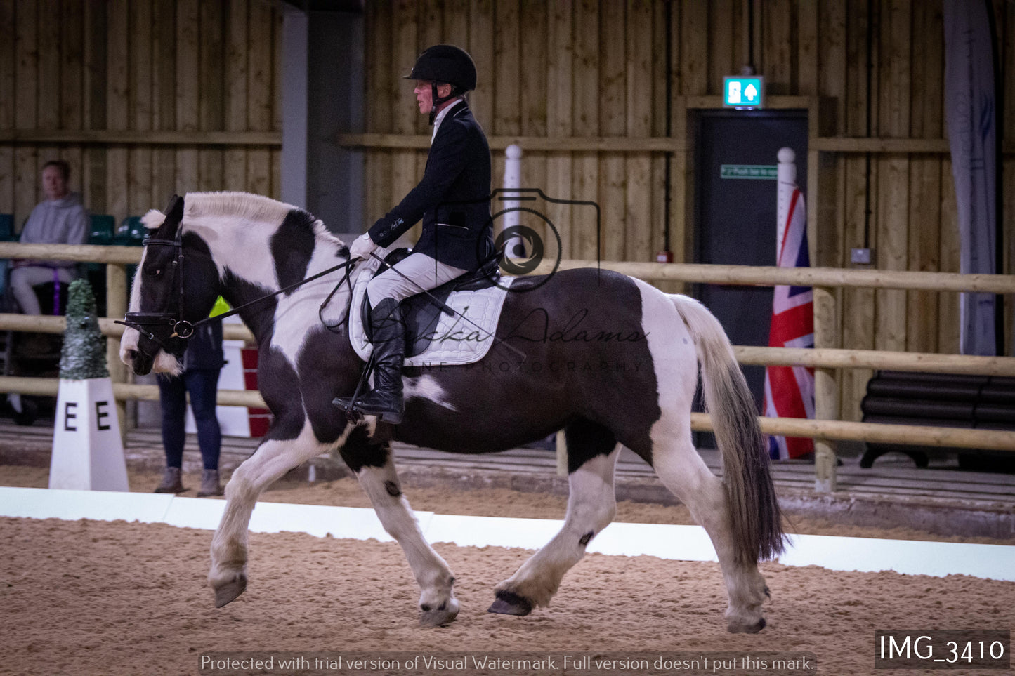 Home Farm Dressage 12th February - Seniors