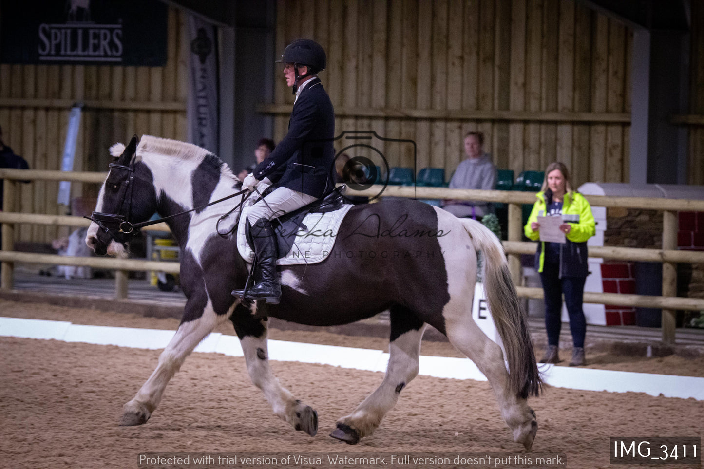 Home Farm Dressage 12th February - Seniors