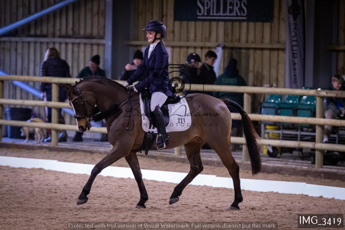 Home Farm Dressage 12th February - Seniors